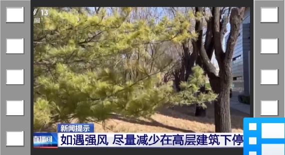 强风天气外出要避免“狭管效应” 安全指南请收好