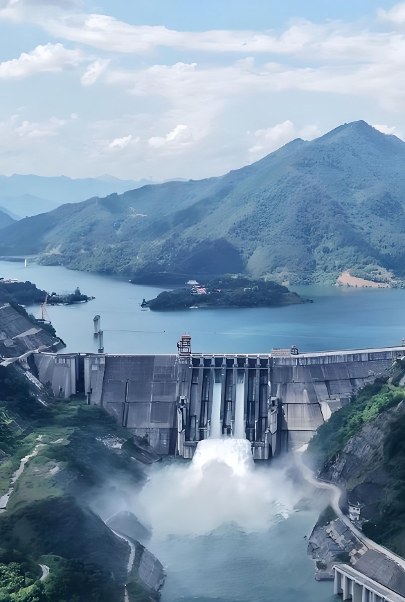 DL/T2204-2020 水电站大坝安全现场检查技术规程