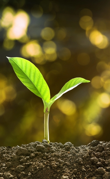 GB/T31270.22-2025 化学农药环境安全评价试验准则 第22部分：土壤表面光解试验