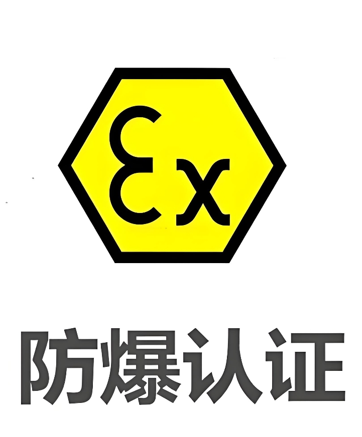 DB15/T1343-2025 场（厂）内专用防爆机动车辆检验导则