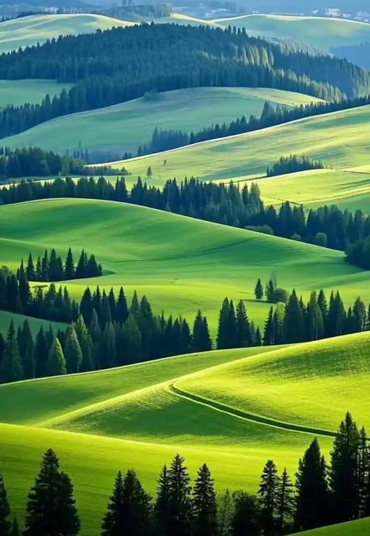 YJ/T36-2025 地方森林草原消防队伍建设规范